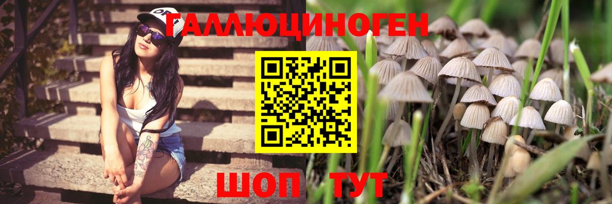 Псилоцибиновые грибы GOLDEN TEACHER  Псилоцибиновые грибы мухоморы  Вход с VPN  Новочебоксарск 