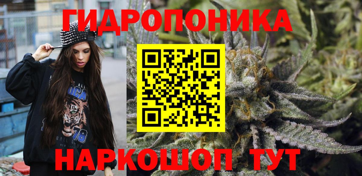 Канабис семена  Канабис гибрид  Конопля сатива  Бошки Шишки план  Вход с VPN  Новочебоксарск 